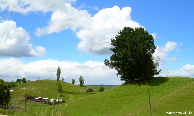 Chiloe campo